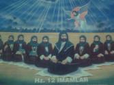beyaz zambak