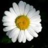 filiz58