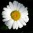 filiz58